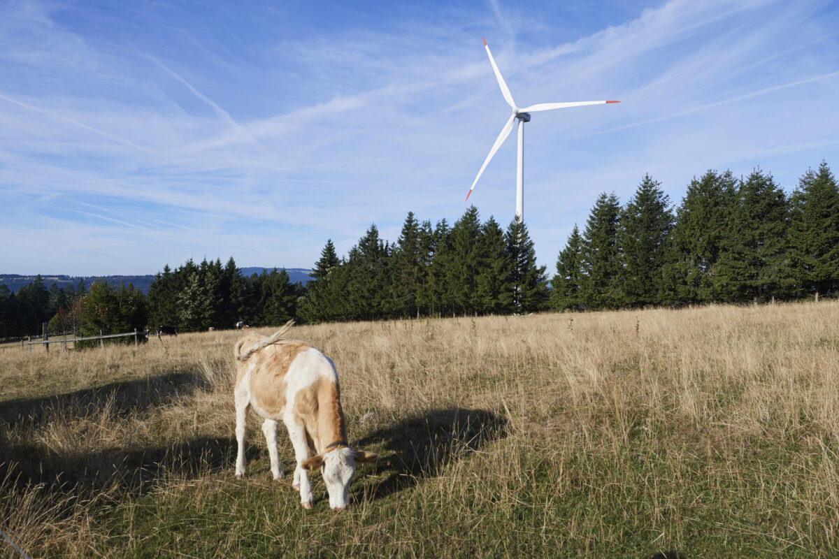 Eoliennes/Windturbinen (Juvent) Mont Soleil-Mont Crosin, Courtelary, 24.08.2022


© Photo 
Corinne Aeberhard
Route de Villarepos 16
1580 Donatyre
079 816 77 64
corinne.aeberhard@bluewin.ch