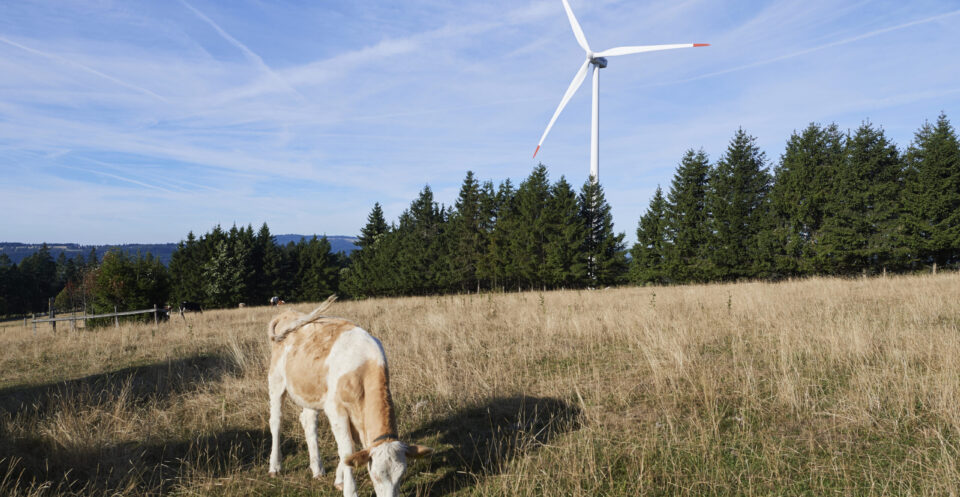 Eoliennes/Windturbinen (Juvent) Mont Soleil-Mont Crosin, Courtelary, 24.08.2022
© Photo
Corinne Aeberhard
Route de Villarepos 16
1580 Donatyre
079 816 77 64
corinne.aeberhard@bluewin.ch
