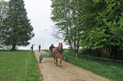 DCF 1.0