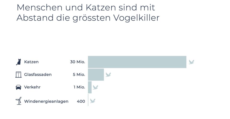 SE Katzen DE