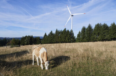 Eoliennes/Windturbinen (Juvent) Mont Soleil-Mont Crosin, Courtelary, 24.08.2022


© Photo 
Corinne Aeberhard
Route de Villarepos 16
1580 Donatyre
079 816 77 64
corinne.aeberhard@bluewin.ch