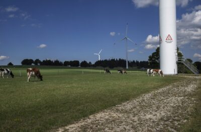 Windmuehlen-130