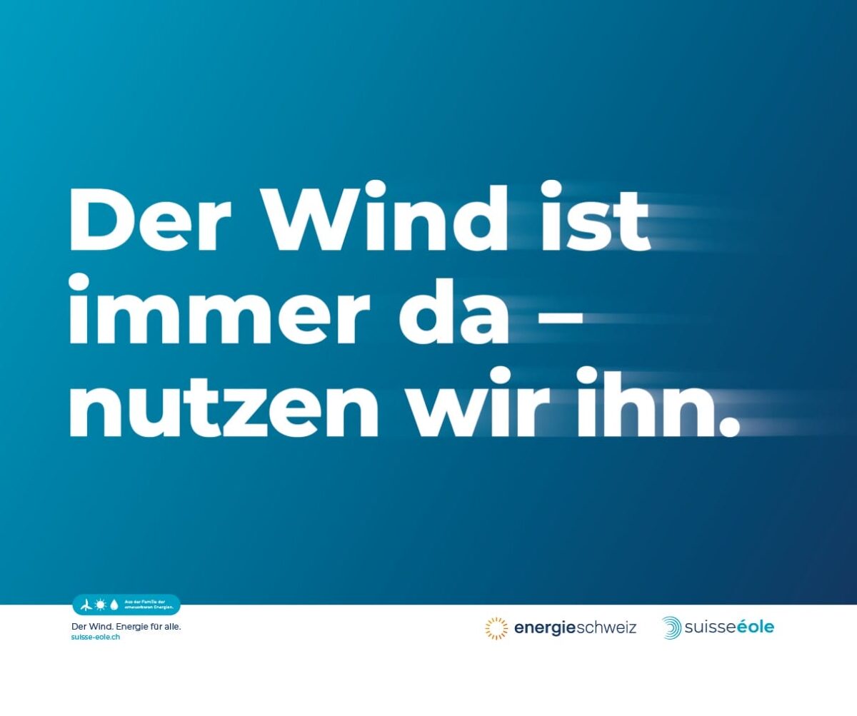 Normal Kurz D