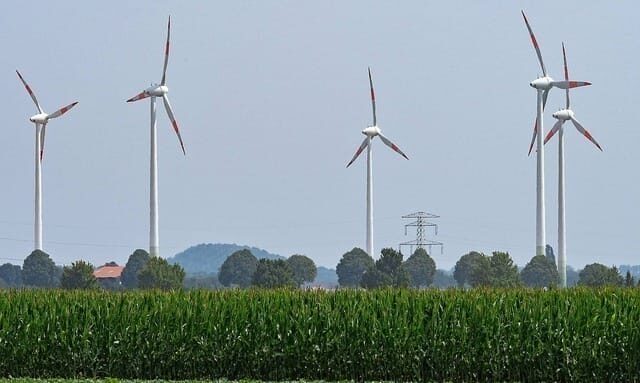 Ackerfläche Wind Mais