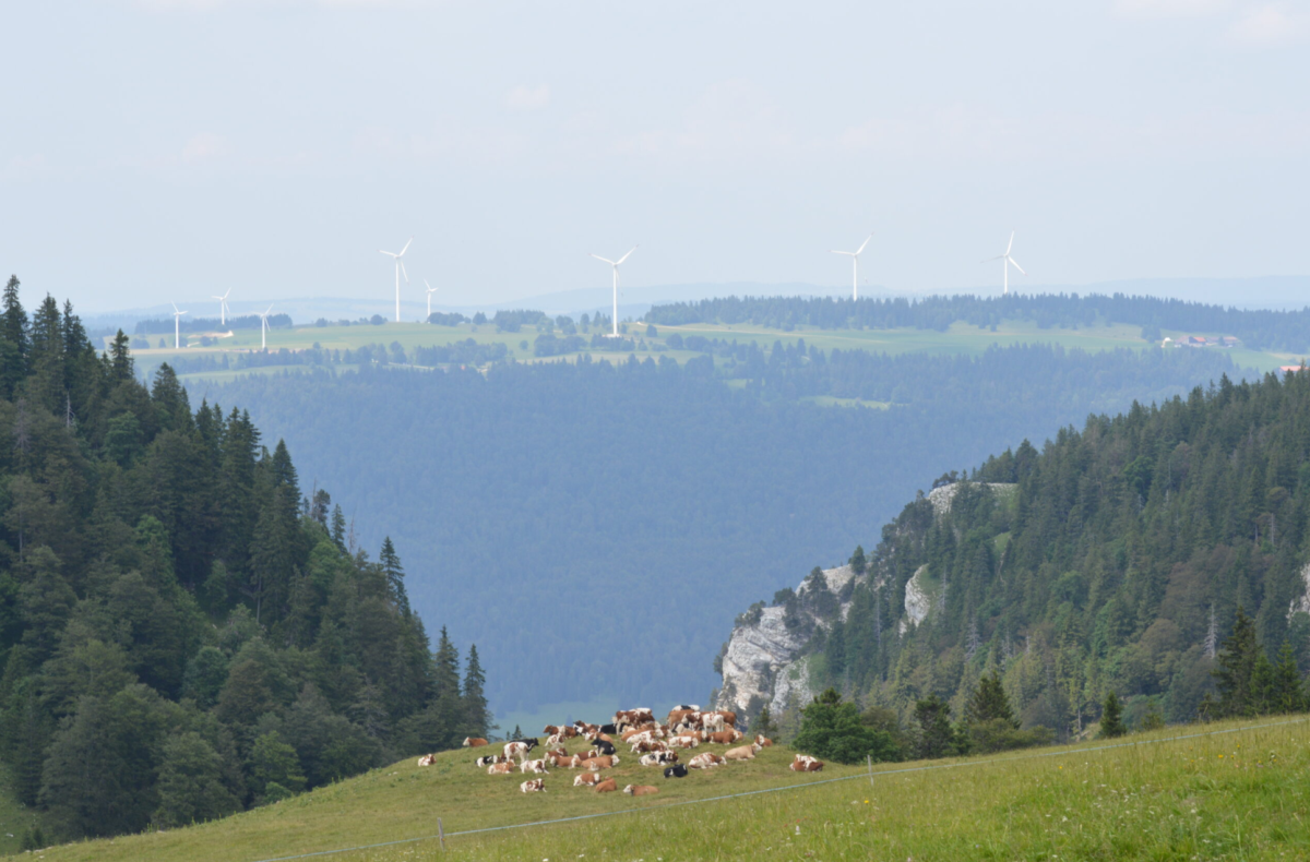 Windmessungen