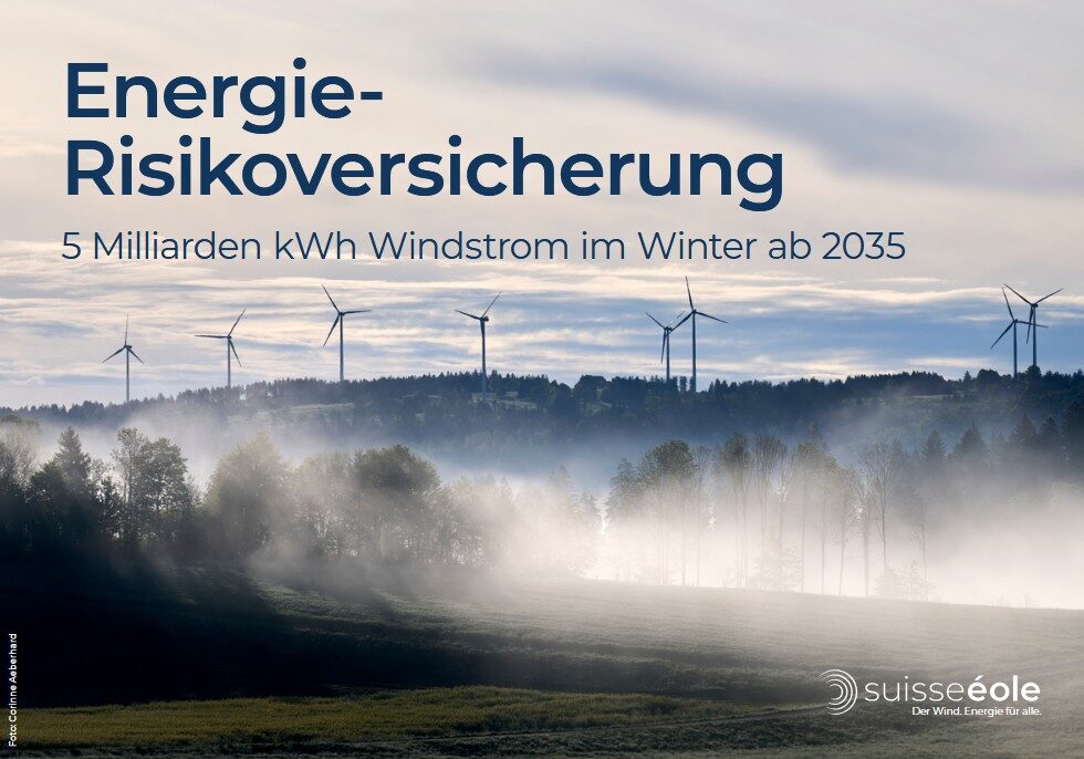 Titelbild D
